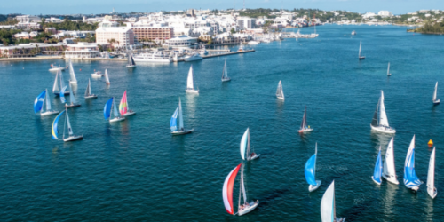 Newport to Bermuda race special offer