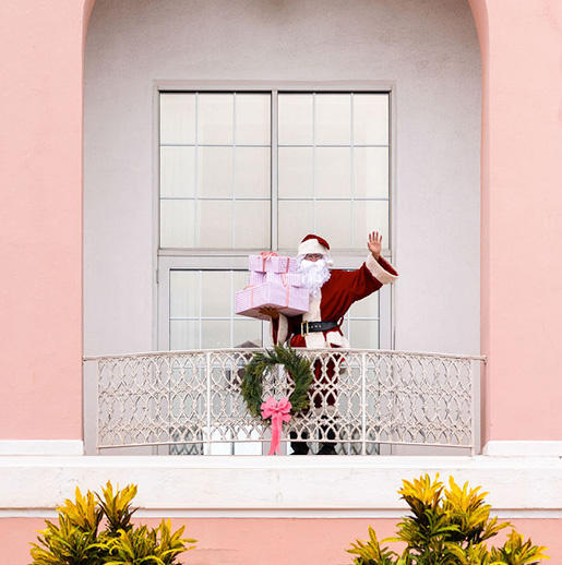 Hamilton Princess Festive Offer