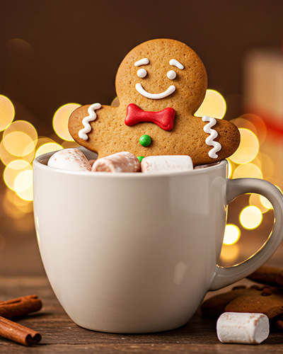 Festive Perfect Pairing at the Hamilton Princess