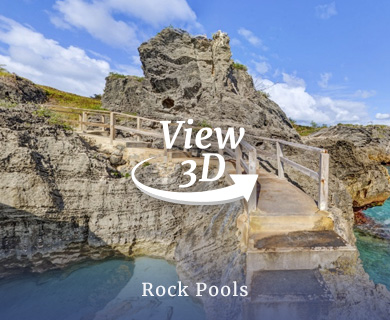 Rock Pools 3D - Hamilton Princess Bermuda