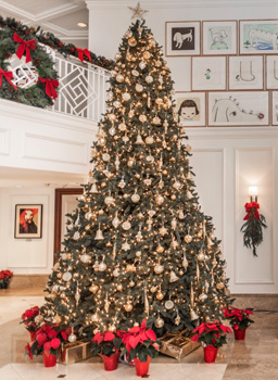 Hamilton Princess Christmas Offers - Christmas Tree