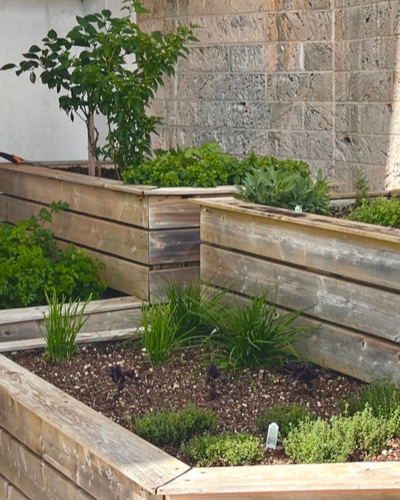 Substack article - Bermuda-Grown Produce at Its Salty, Nutritional Best