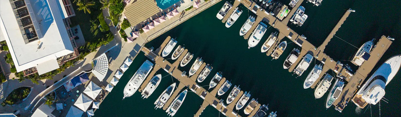 Hamilton Princess Marina substack article september26